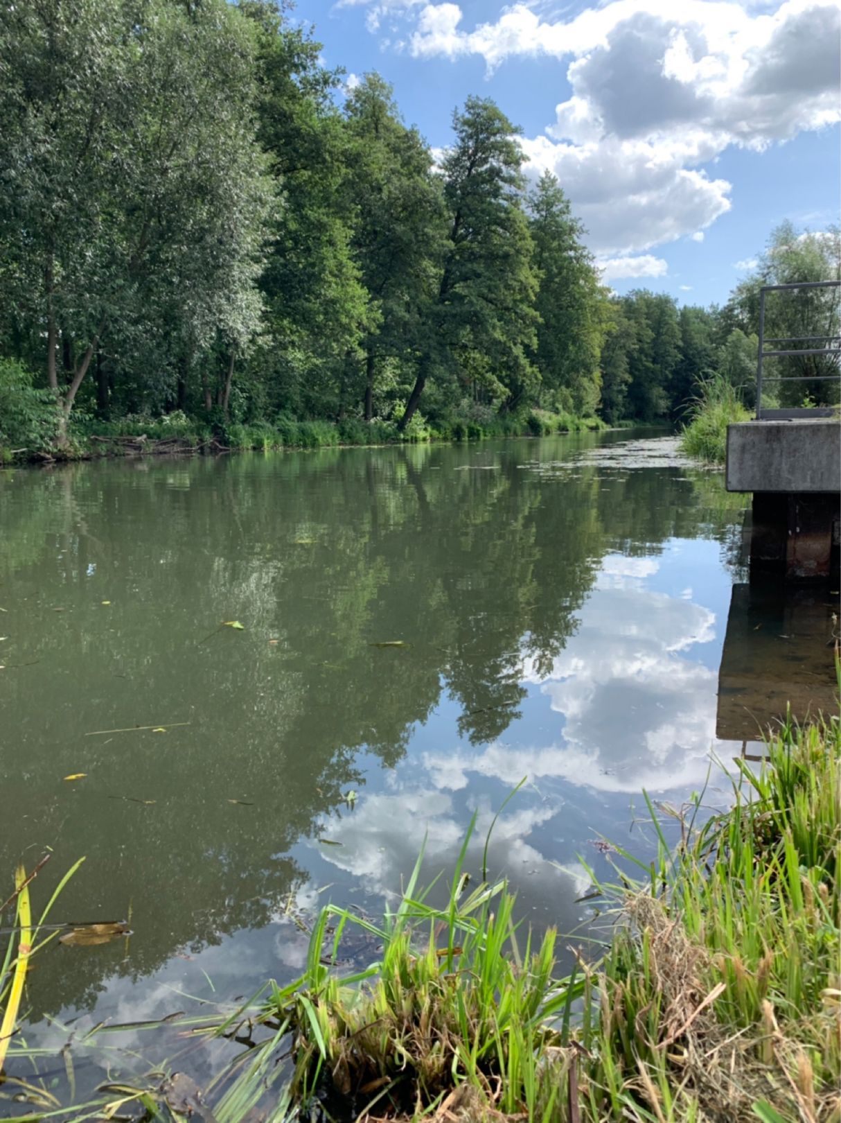 Südumfluter (Lübbenau) angeln
