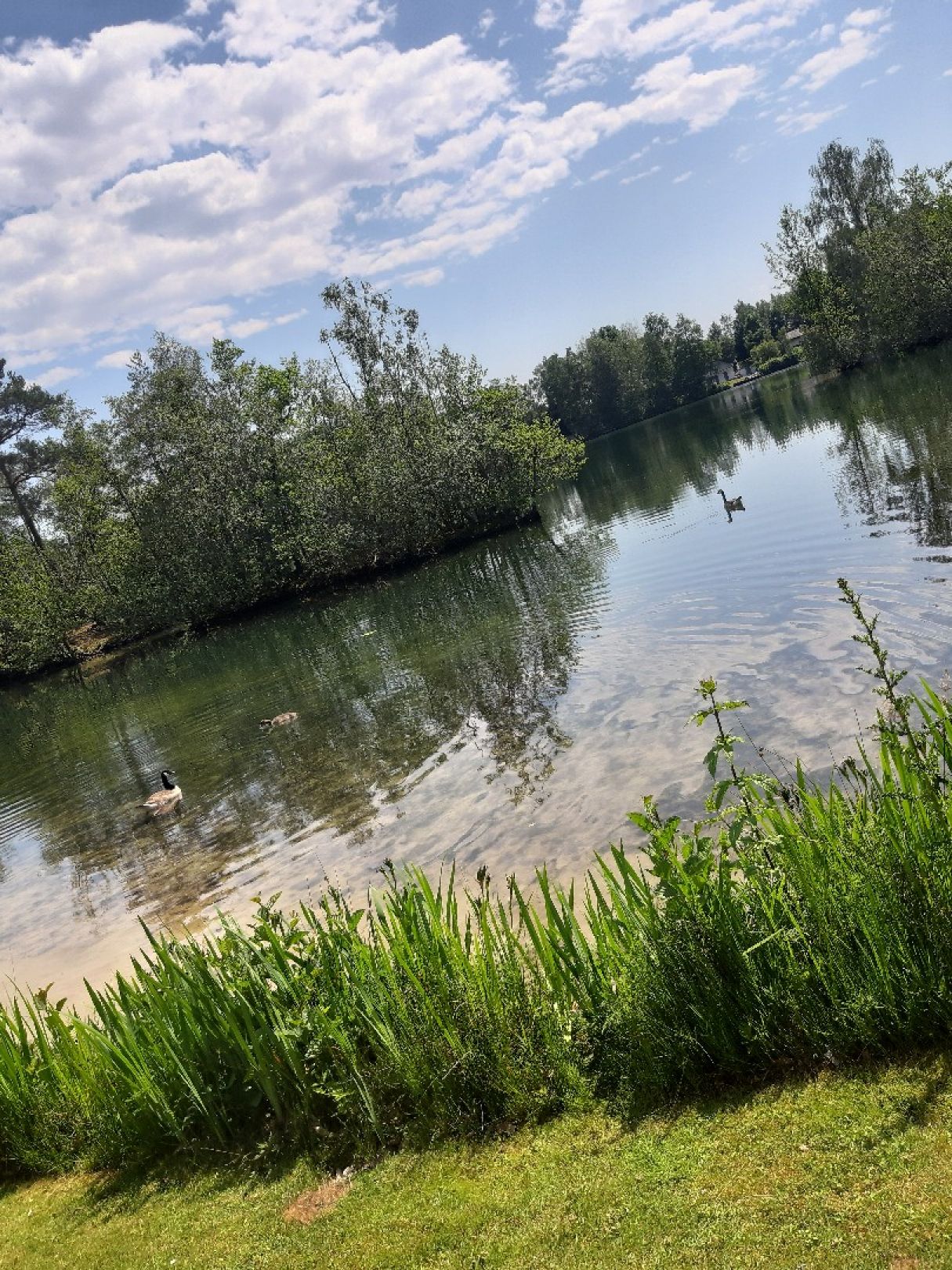 Blauer See (Lünne) angeln