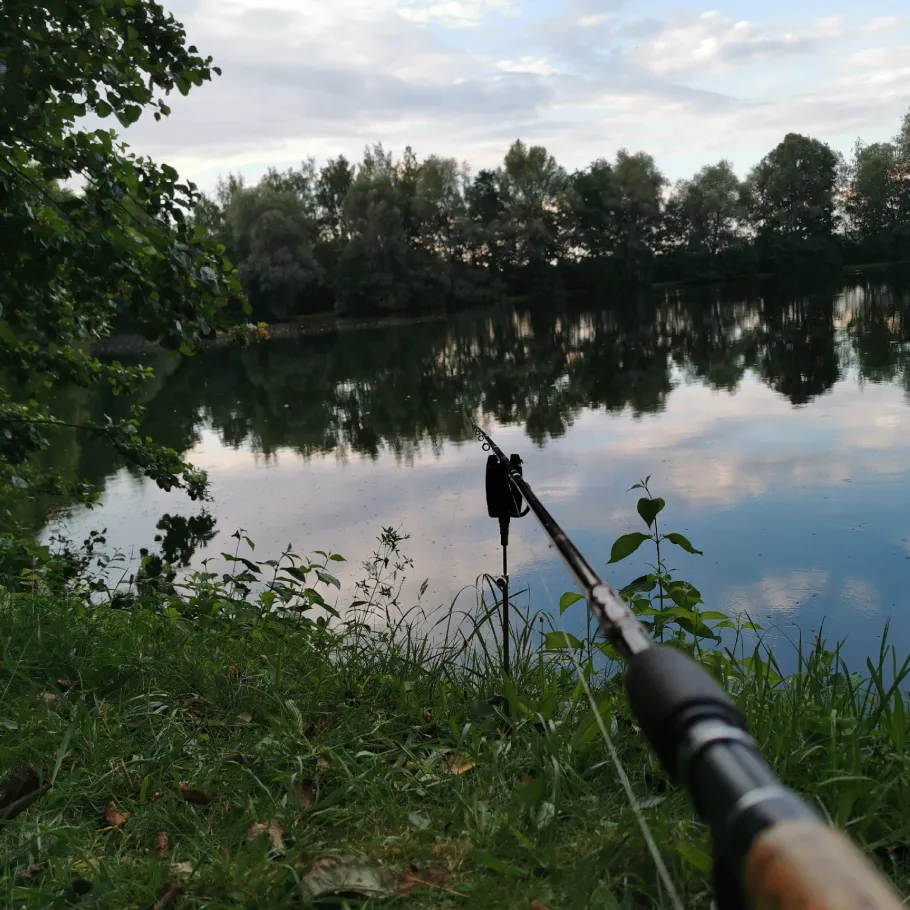 Südweiher (Balzhausen) angeln