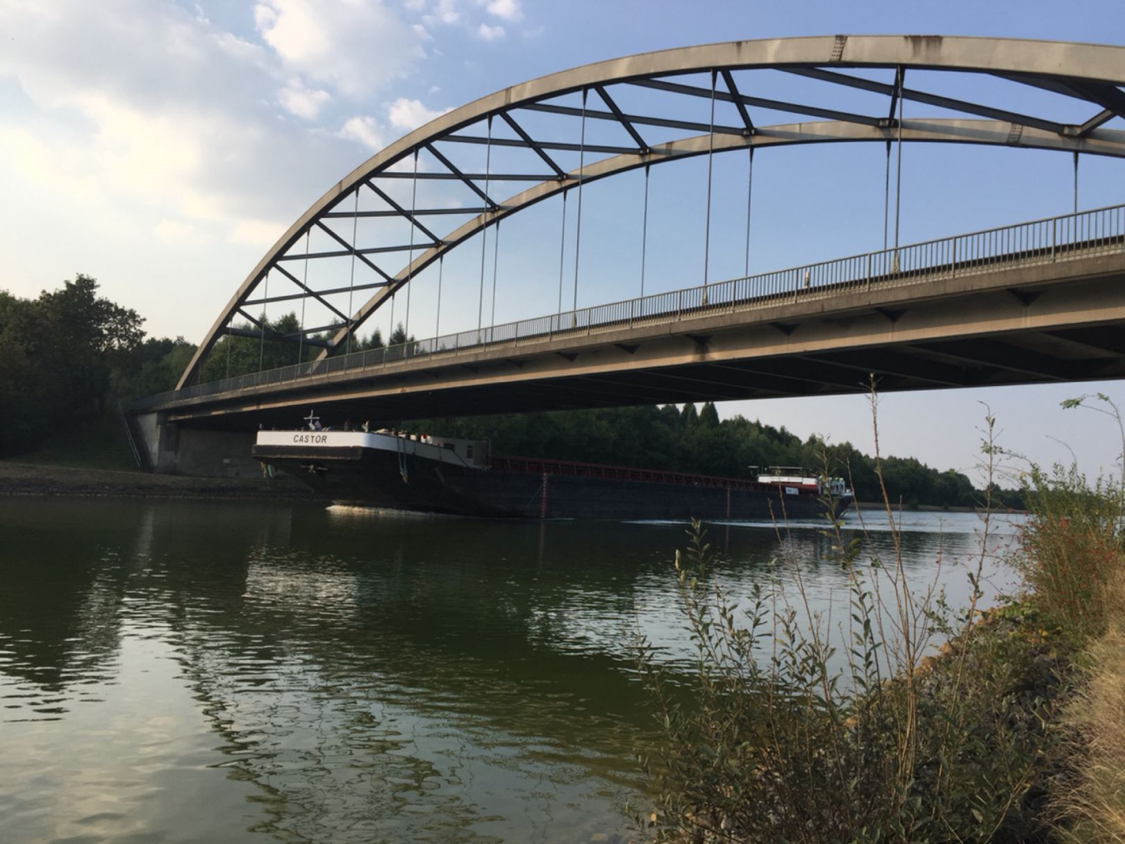 Elbe-Seitenkanal (Knesebeck) angeln