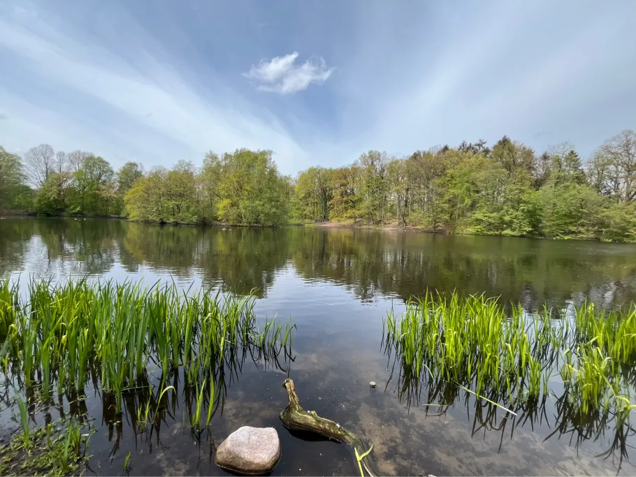 Allhorndiek (Volksdorf) angeln