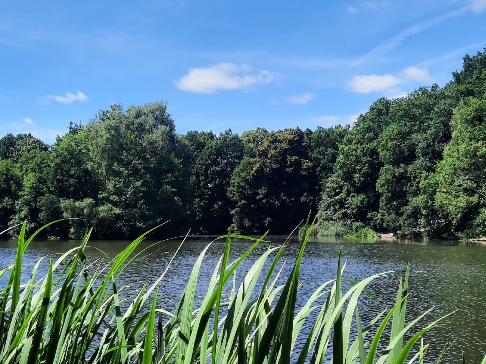 Allhorndiek (Volksdorf) ALLE ANGELN