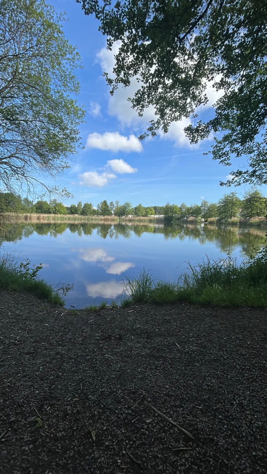Buchhorner See angeln