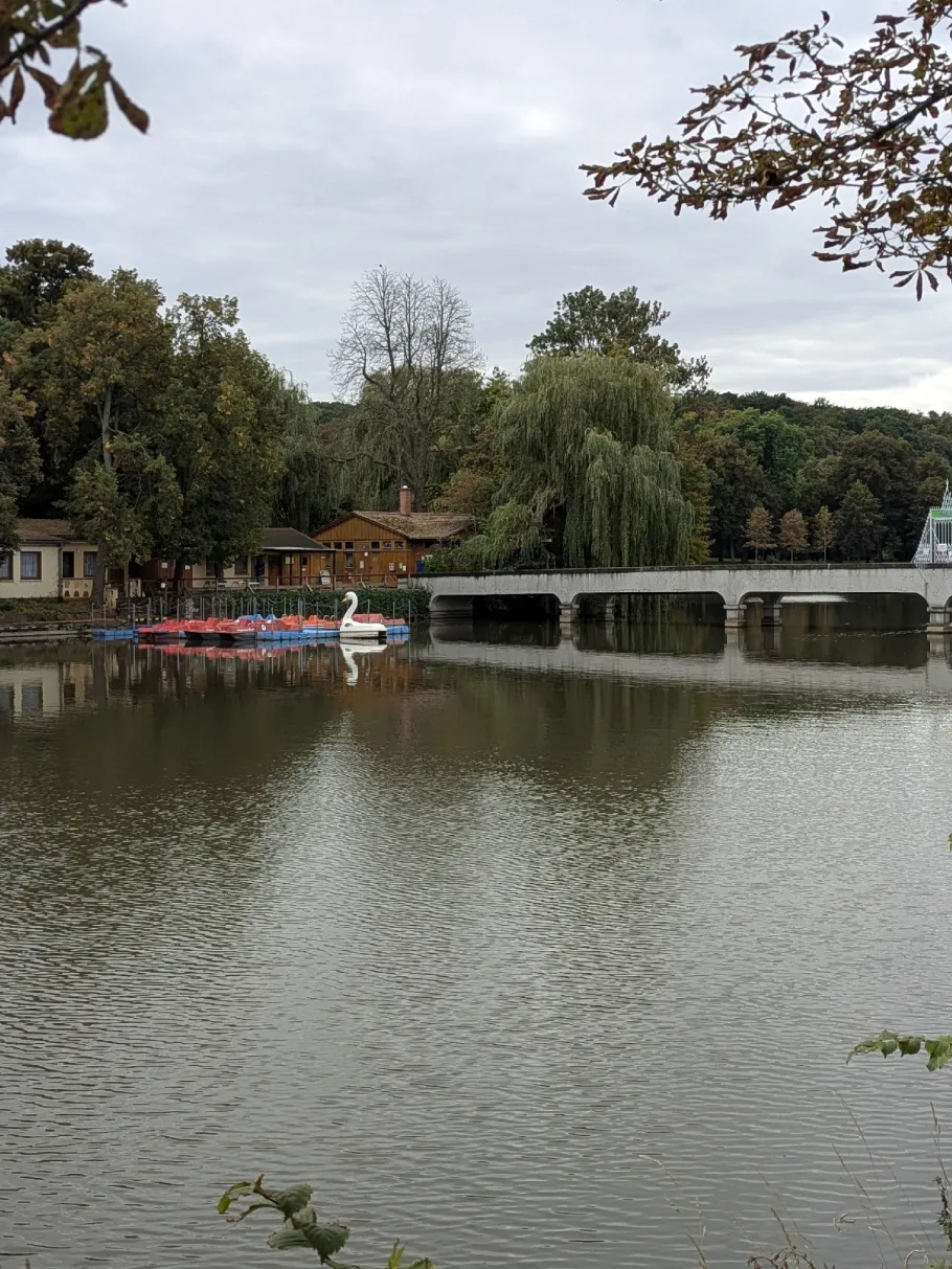 Großer Teich (Altenburg) angeln