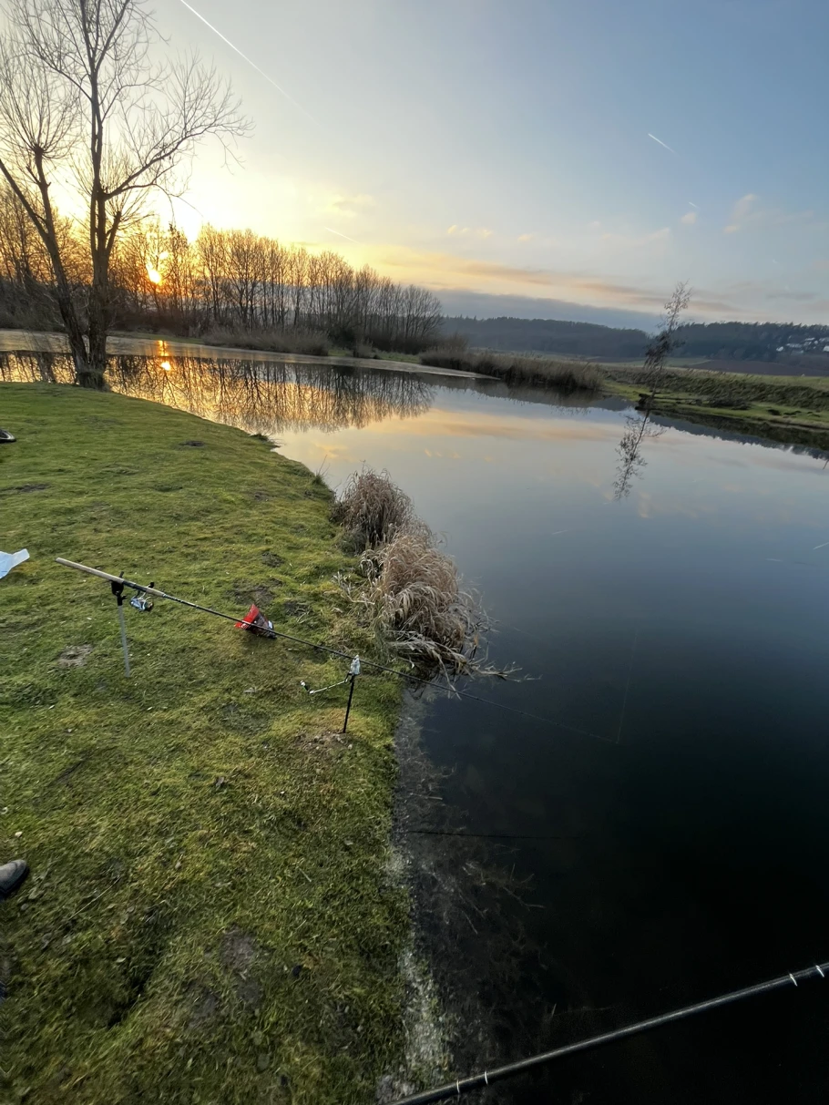 Teich ASV Dauernheim angeln