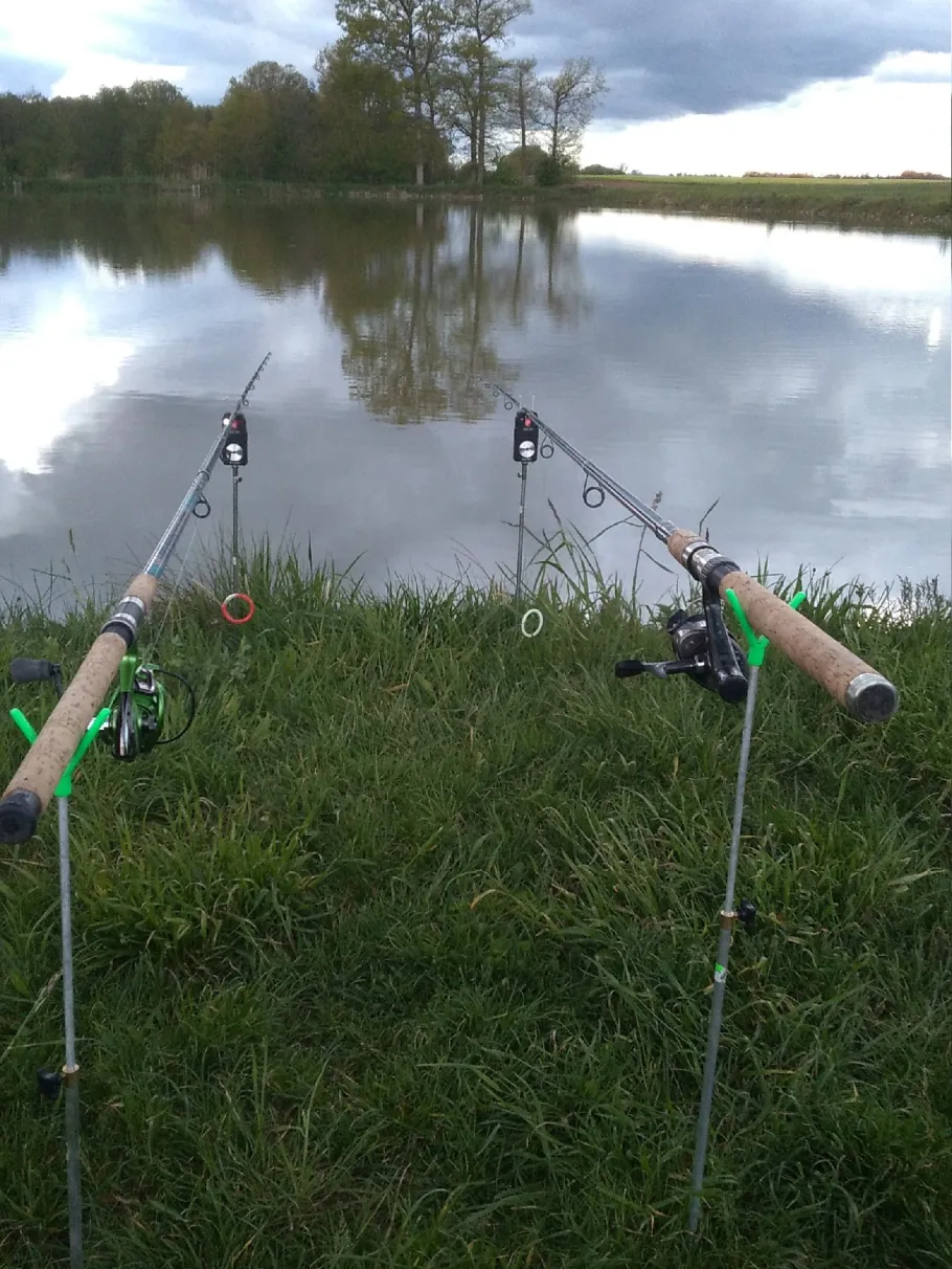 Grafenweiher (Langenzenn) angeln