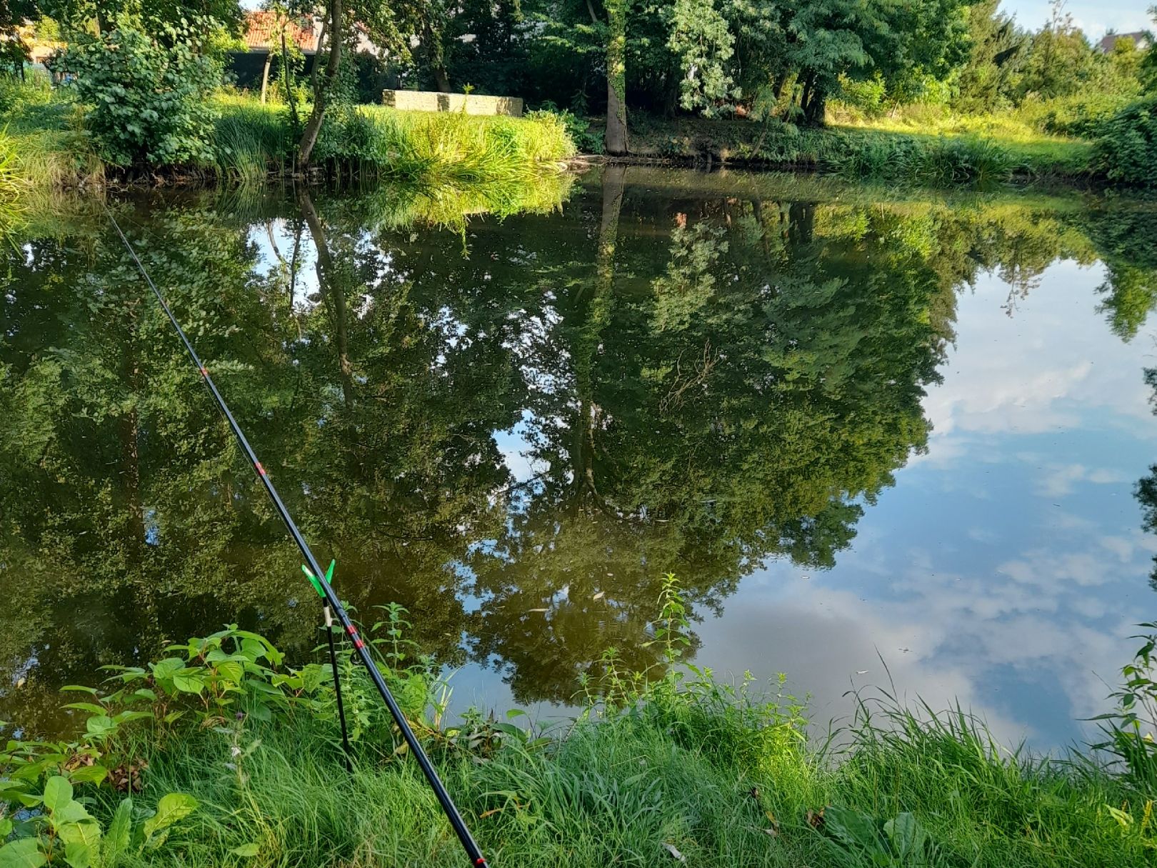 Heckenteich (Gatersleben) angeln