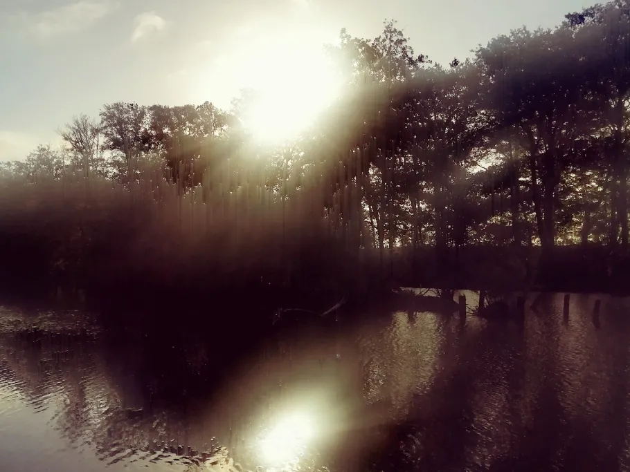 Teichanlage Saerbeck angeln