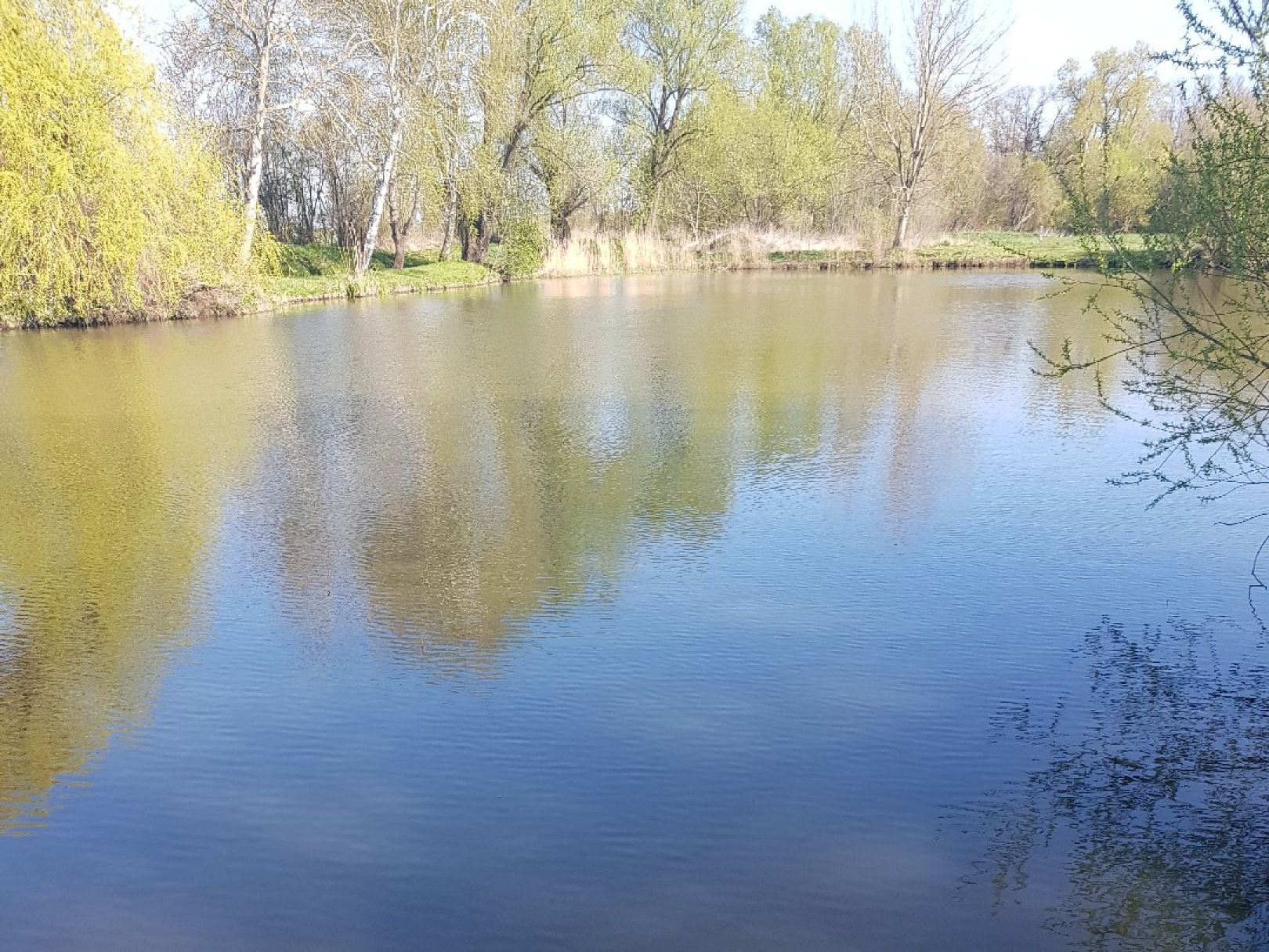 Dorfteich Nordgermersleben angeln