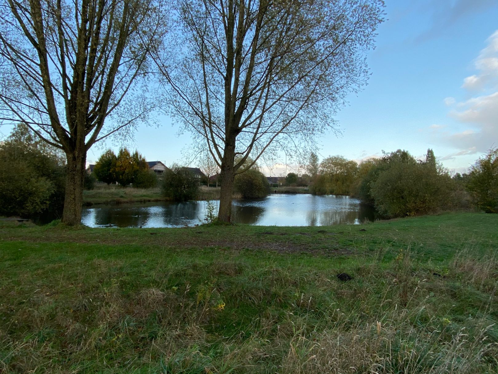 Rückhaltebecken am Krückauring angeln