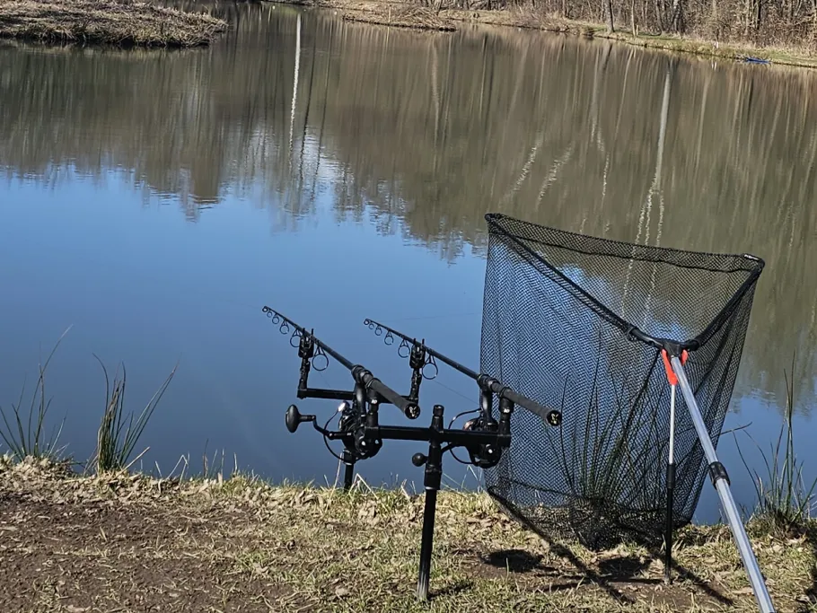 Weddelsee (Medebach) angeln