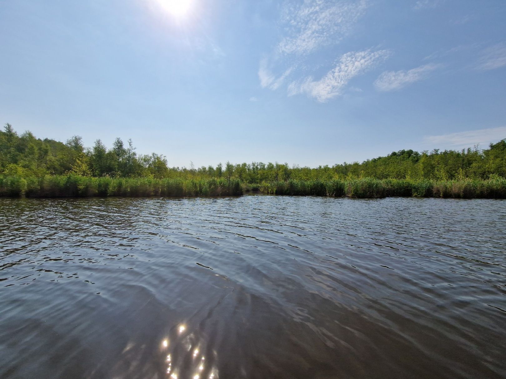 Pfählingsee (Dabendorf) angeln