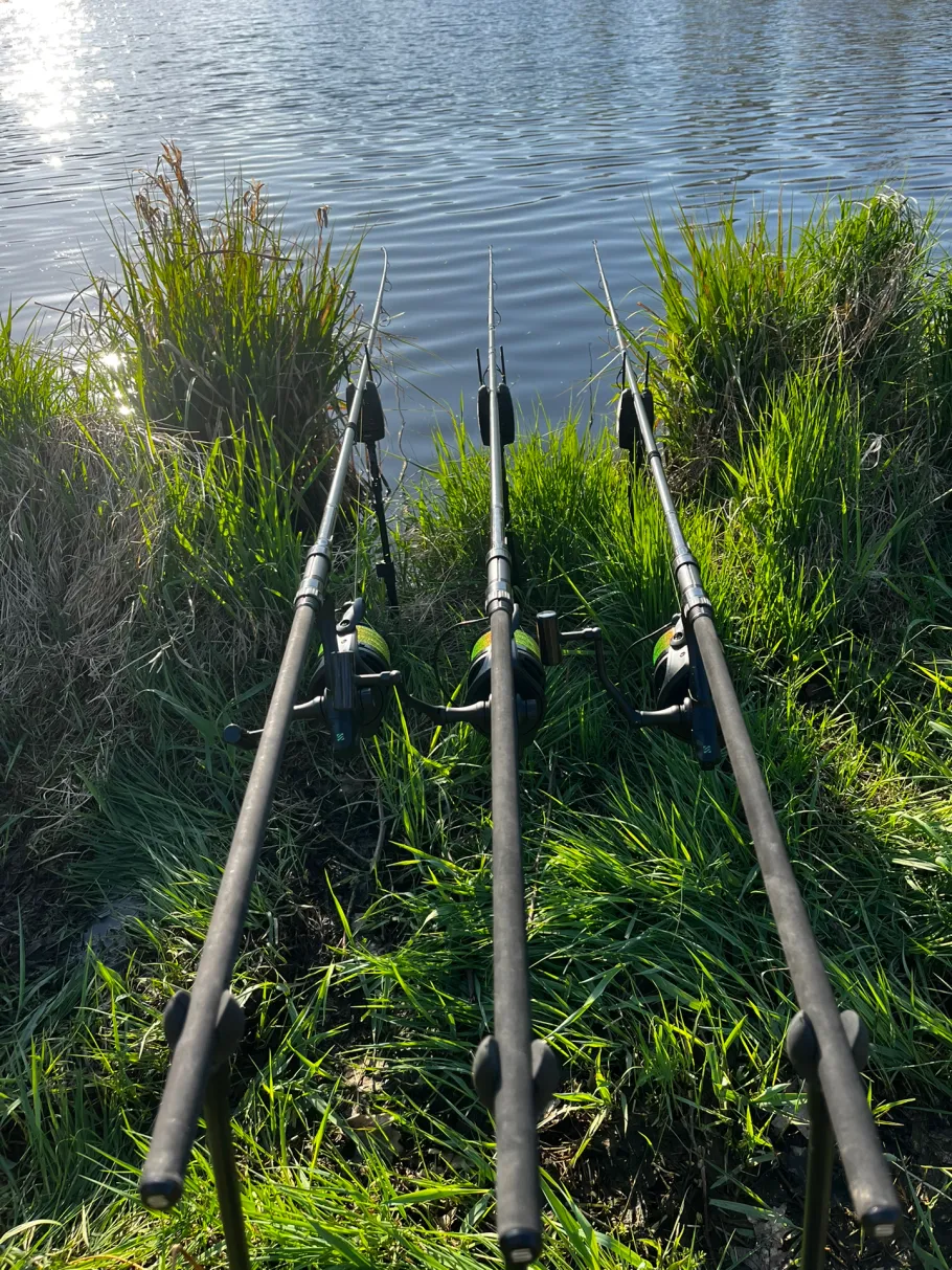 Vorfluter Moorkämpen (Augustfehn) angeln