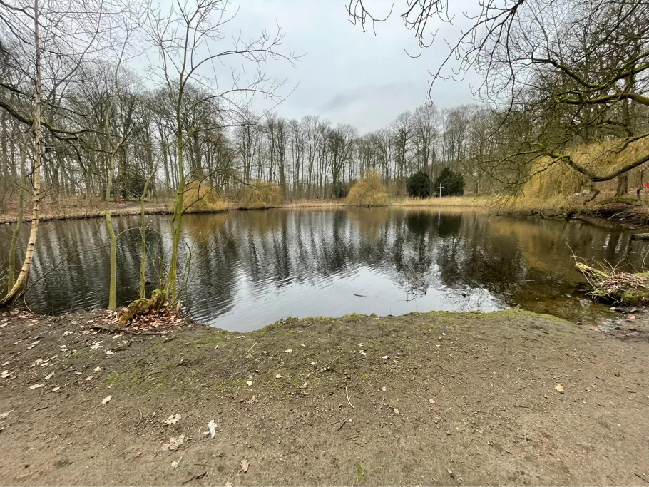 Salz-Teich (Bad Oldesloe) angeln