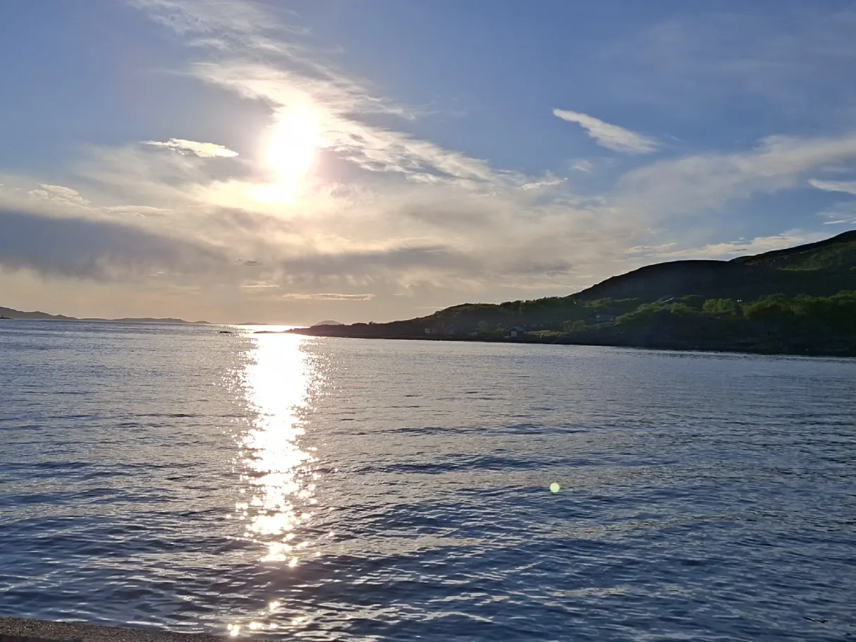 Drevflesleia (Værøya) angeln