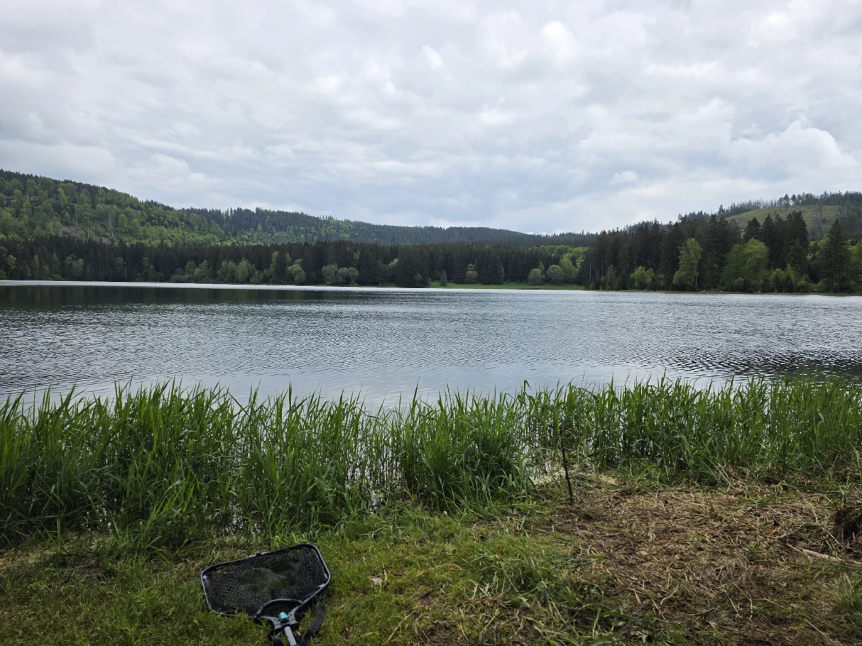 Talsperre Scheibe-Alsbach angeln