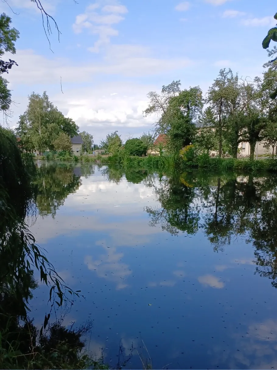Warmsdorfer Teich angeln