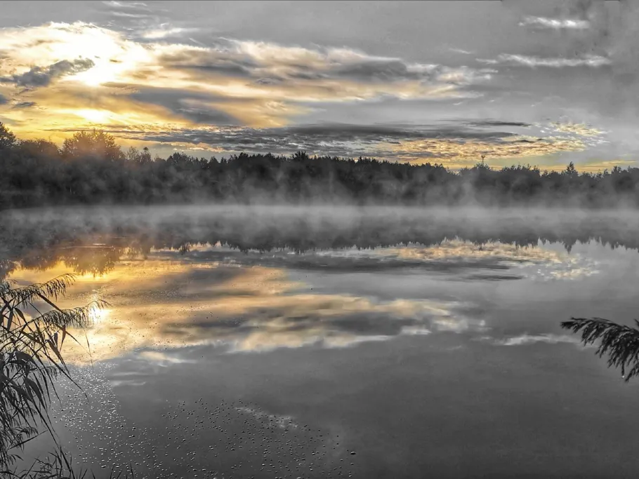 Neue Tongrube (Guttau) angeln