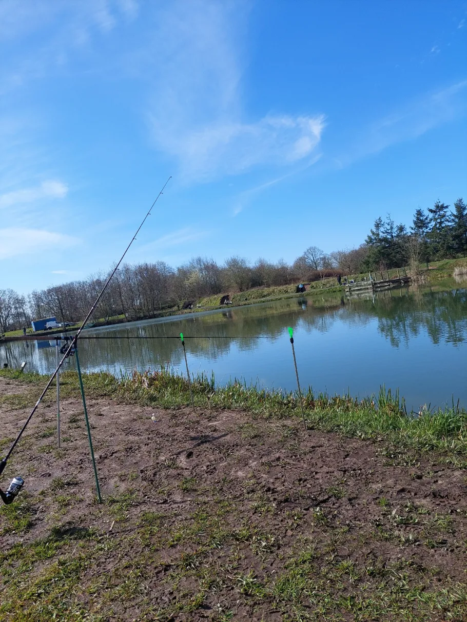 Forellensee Ahrenviöl angeln