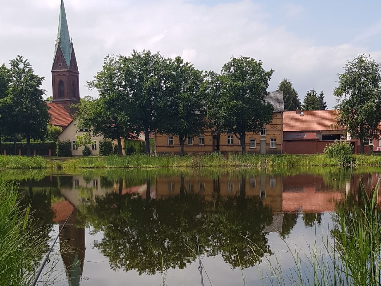 Dorfteich (Wahlsdorf) angeln