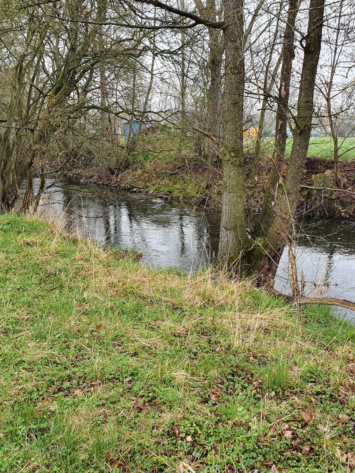 Angeln in Kapellendorf