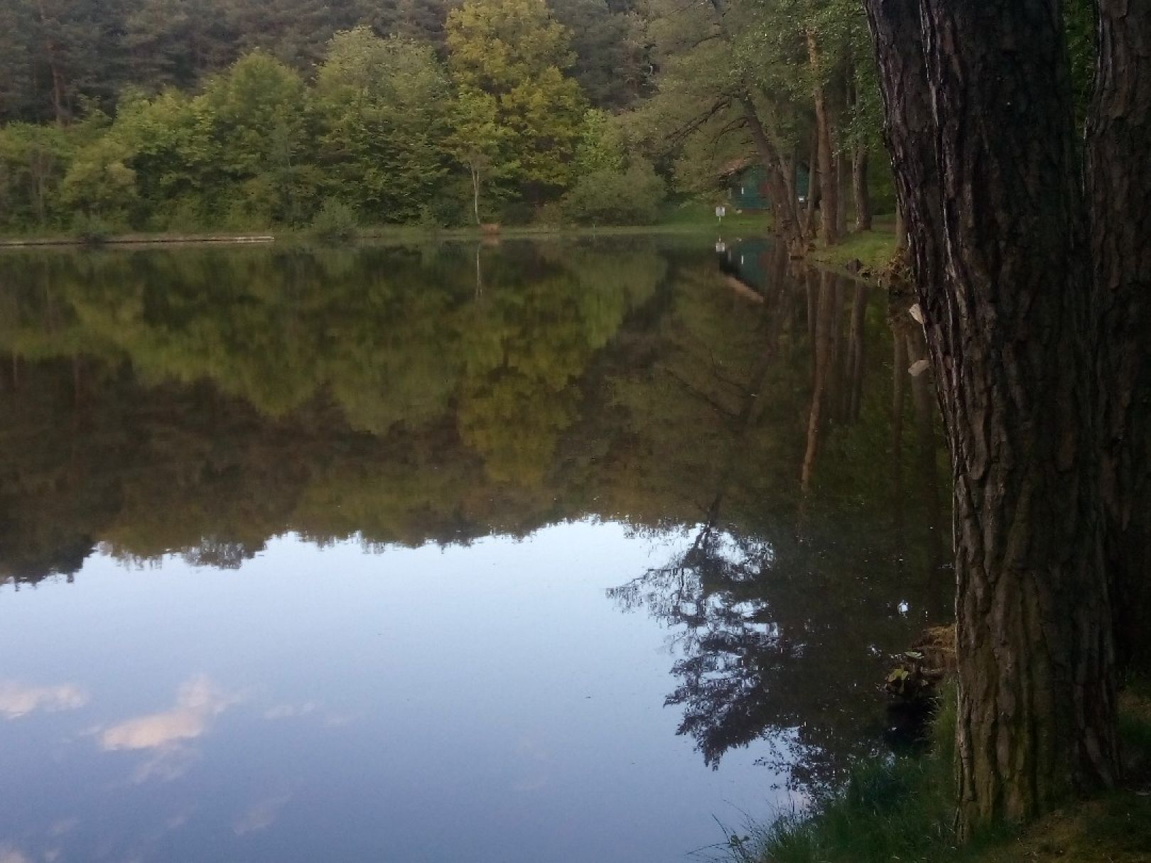 Grünwiesenweiher angeln