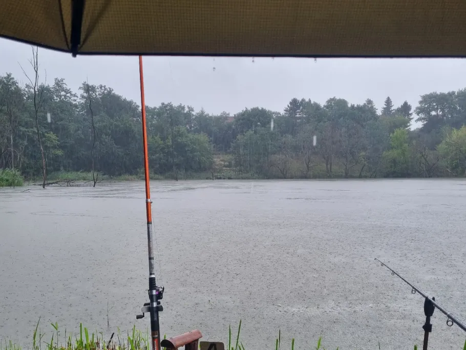 Unterer Ziegeleiteich (Muldenstein) angeln