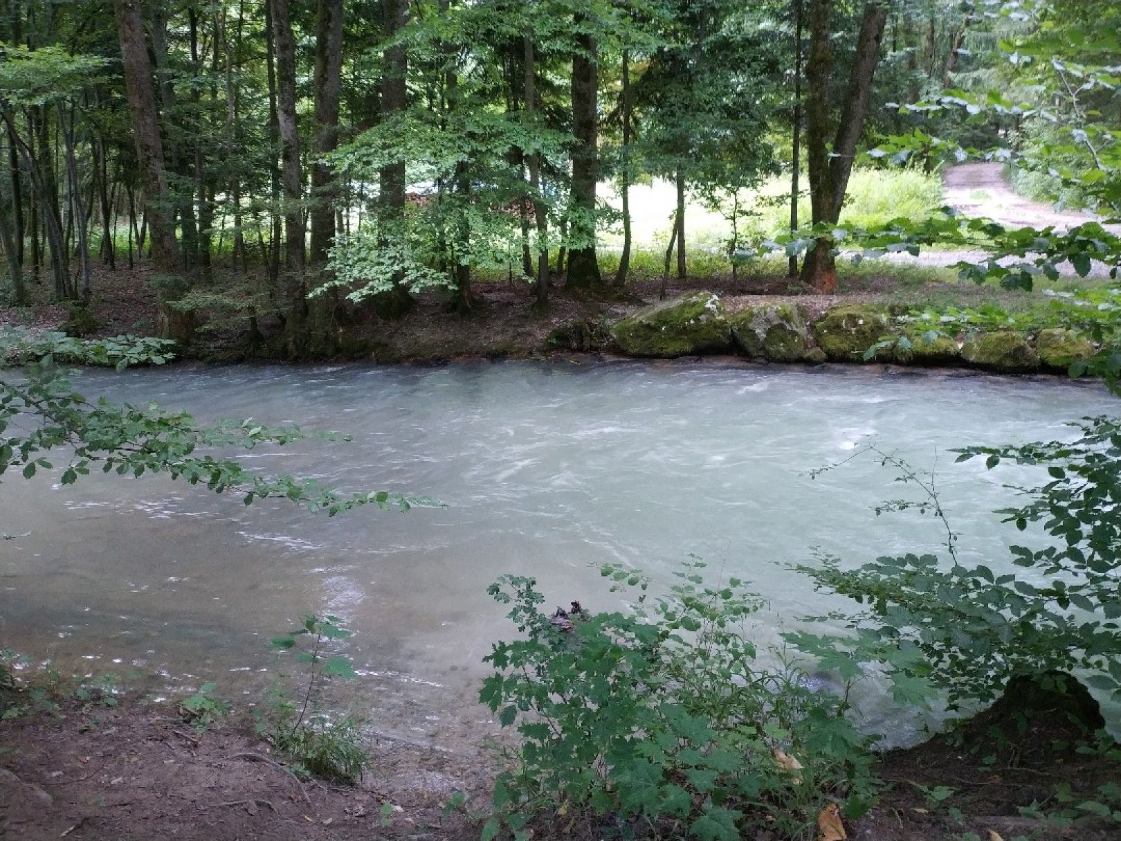 Freilassinger Mühlbach angeln