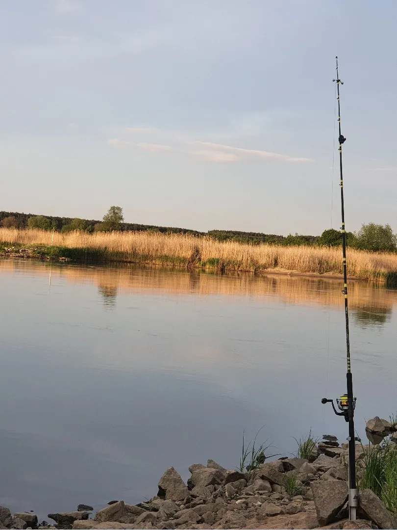 Oder (Aurith) angeln