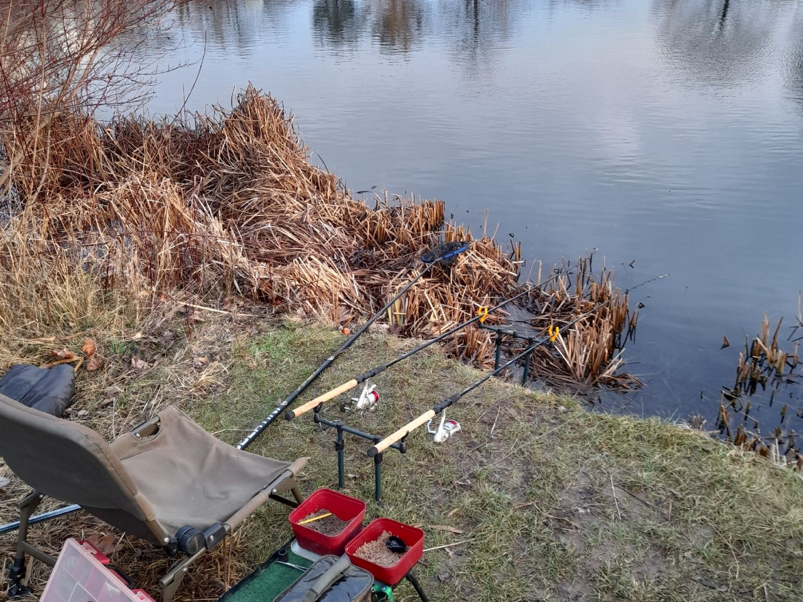 Teich an der Lerchenbreite angeln