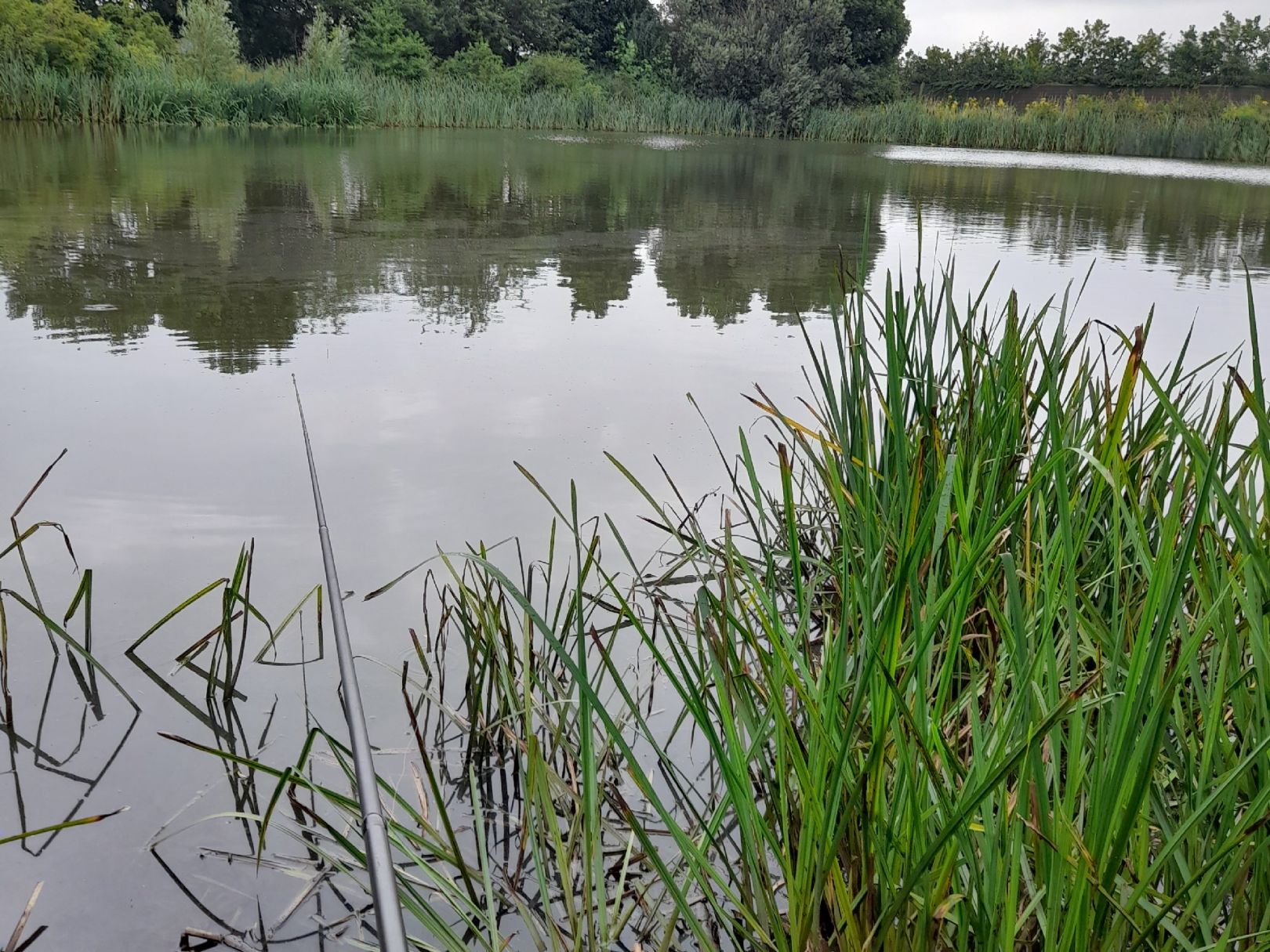 Teich an der Lerchenbreite angeln
