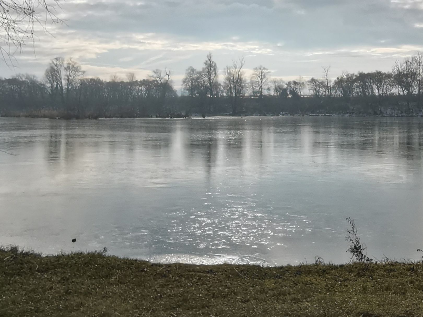 Buschelbergsee (Nersinger See) angeln