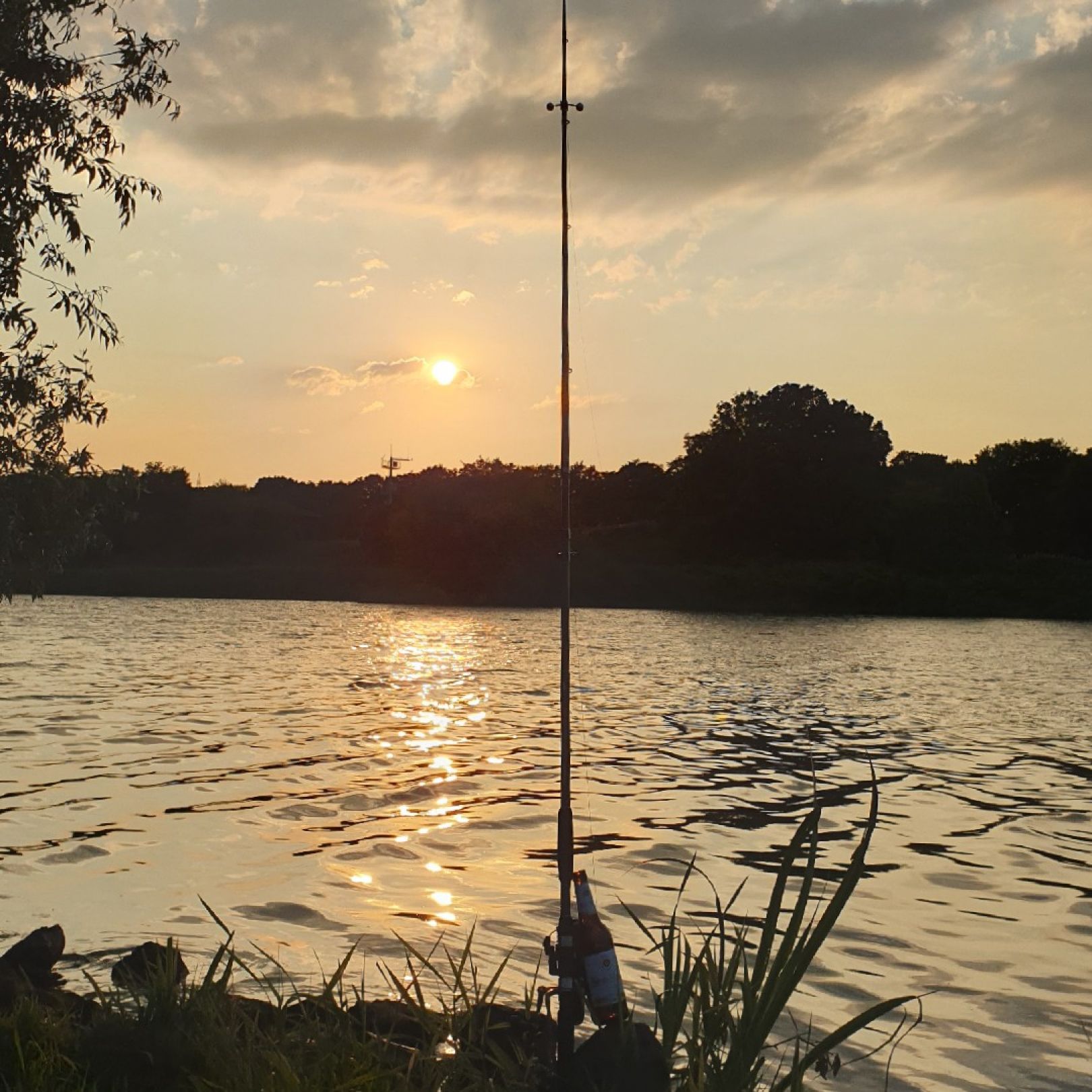 Ruhr (Duisburg) angeln