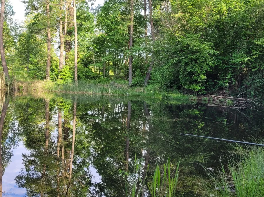 Faberteich (Simmersdorf) angeln