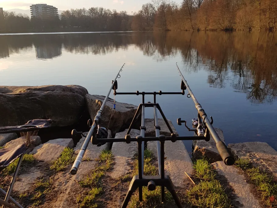 Moosweiher (Freiburg) angeln