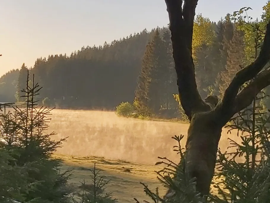 Lütsche Stausee angeln