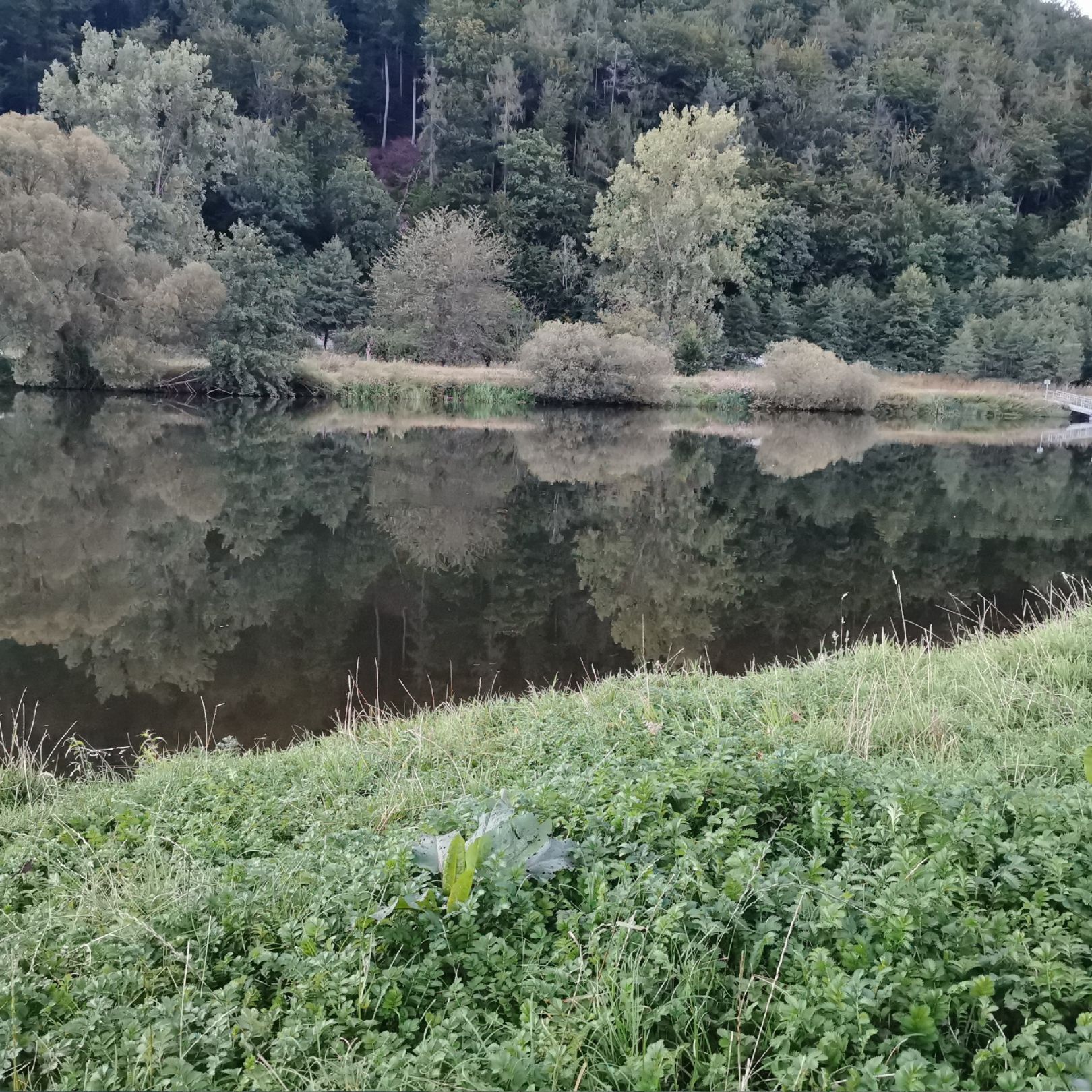 Fulda (Hann. Münden) angeln