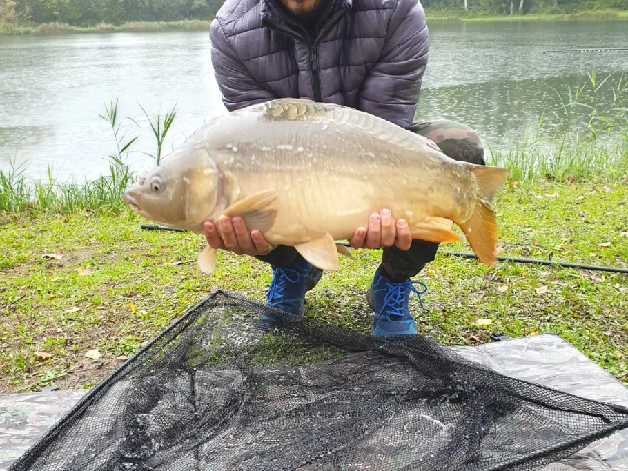 Étang du Rohrkopf angeln