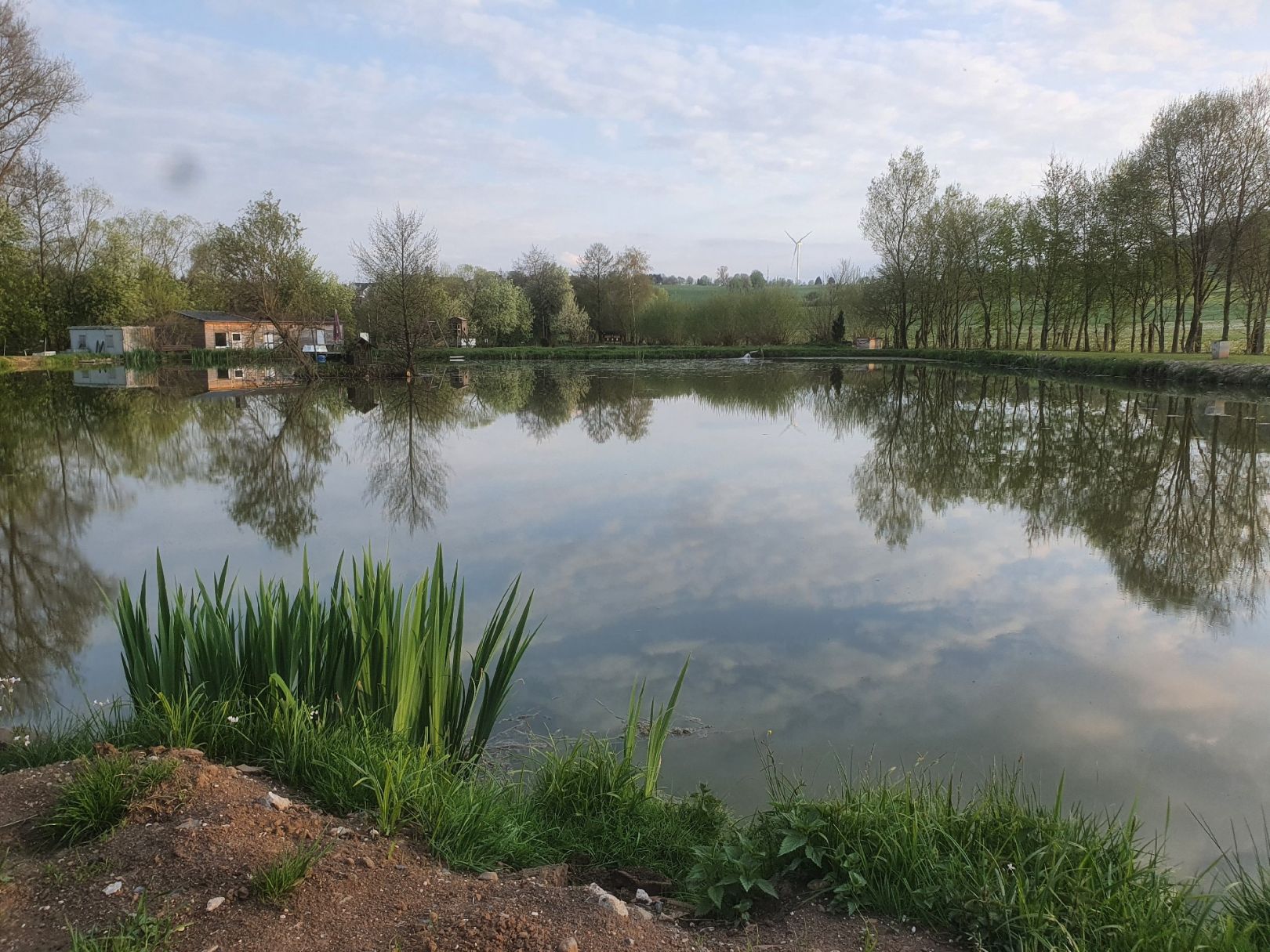 Anglerteich Schlüchtern angeln