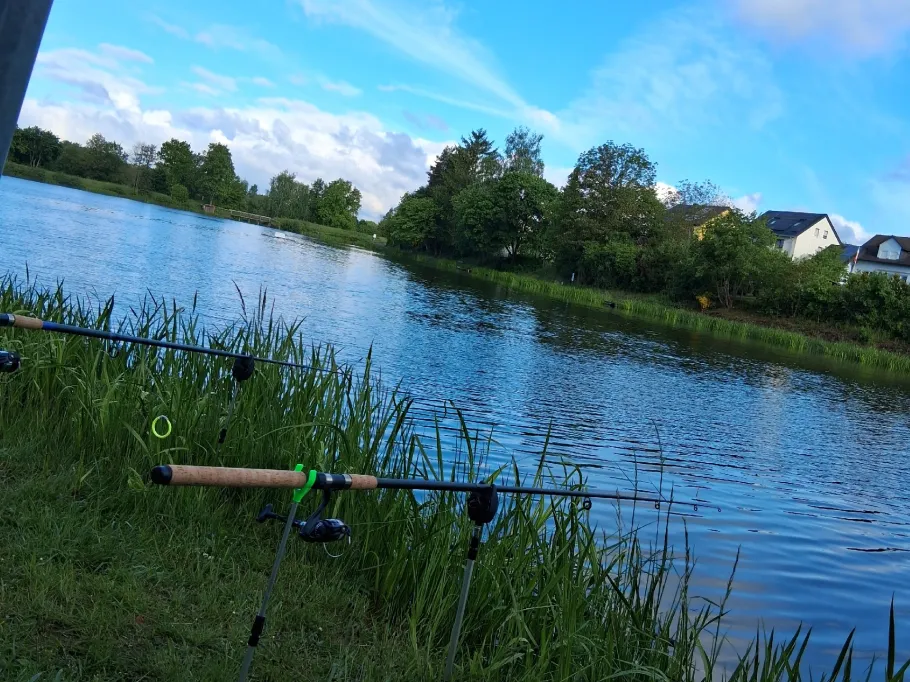 Karpfenteich Tauperlitz angeln