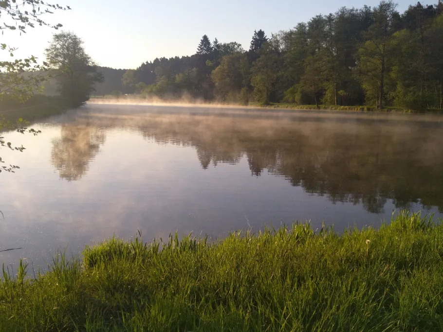Angelweiher SFV Offenbau angeln