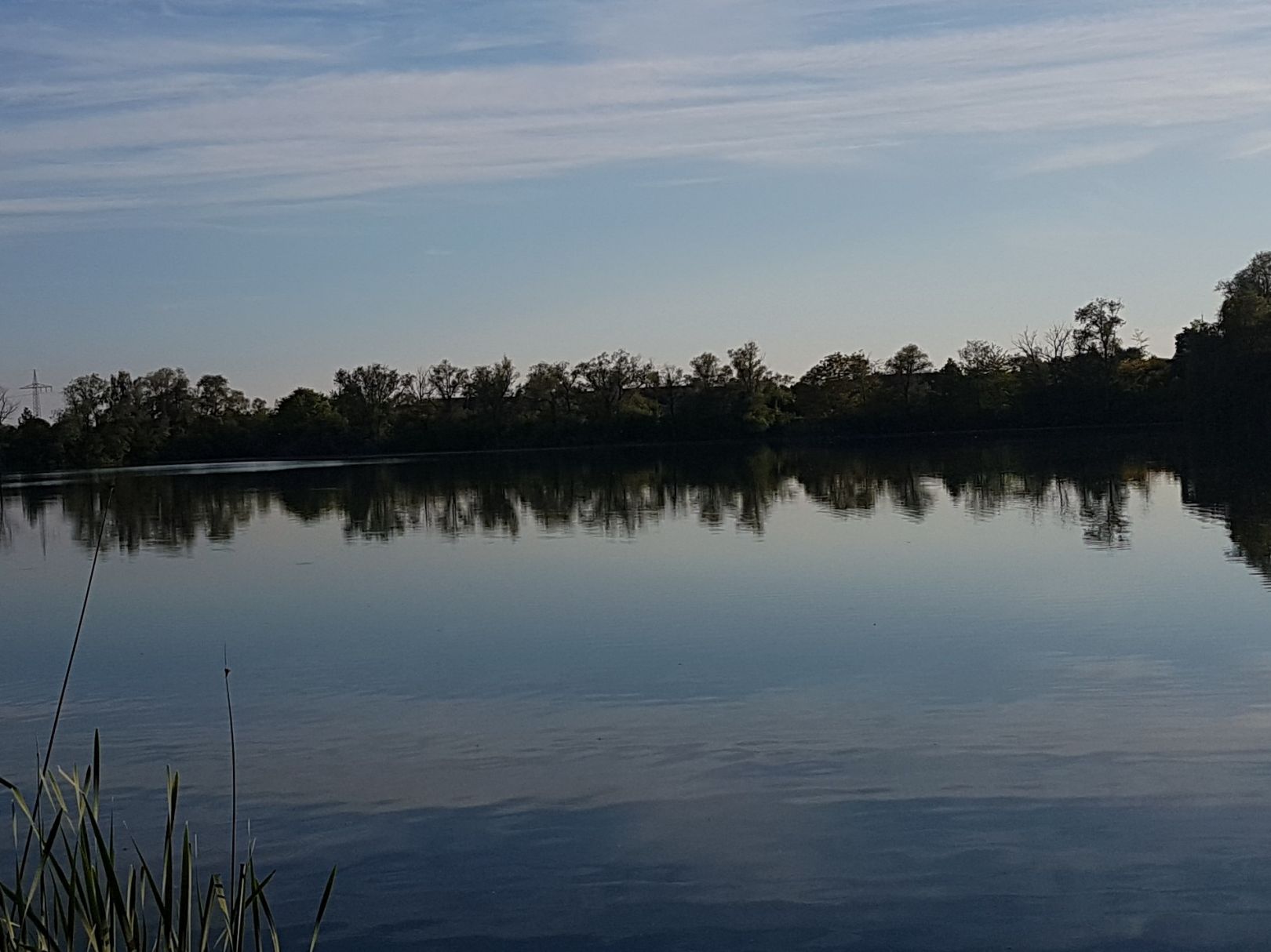 Niederstimmer Weiher angeln