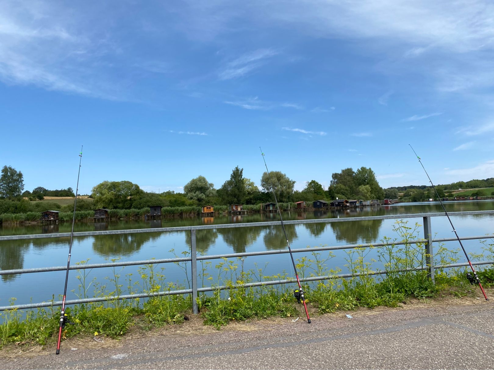 Étang du Welschhof angeln