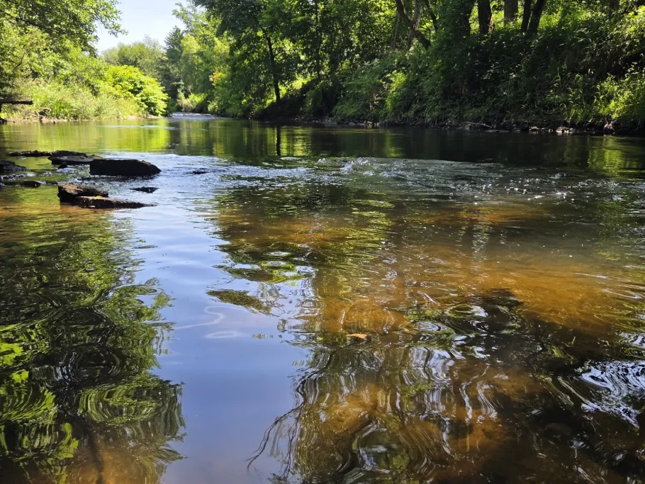Oder (Hattorf/Harz) angeln