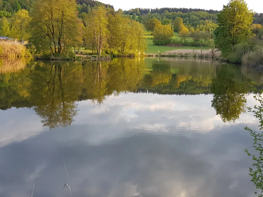 Weißmüllerweiher angeln