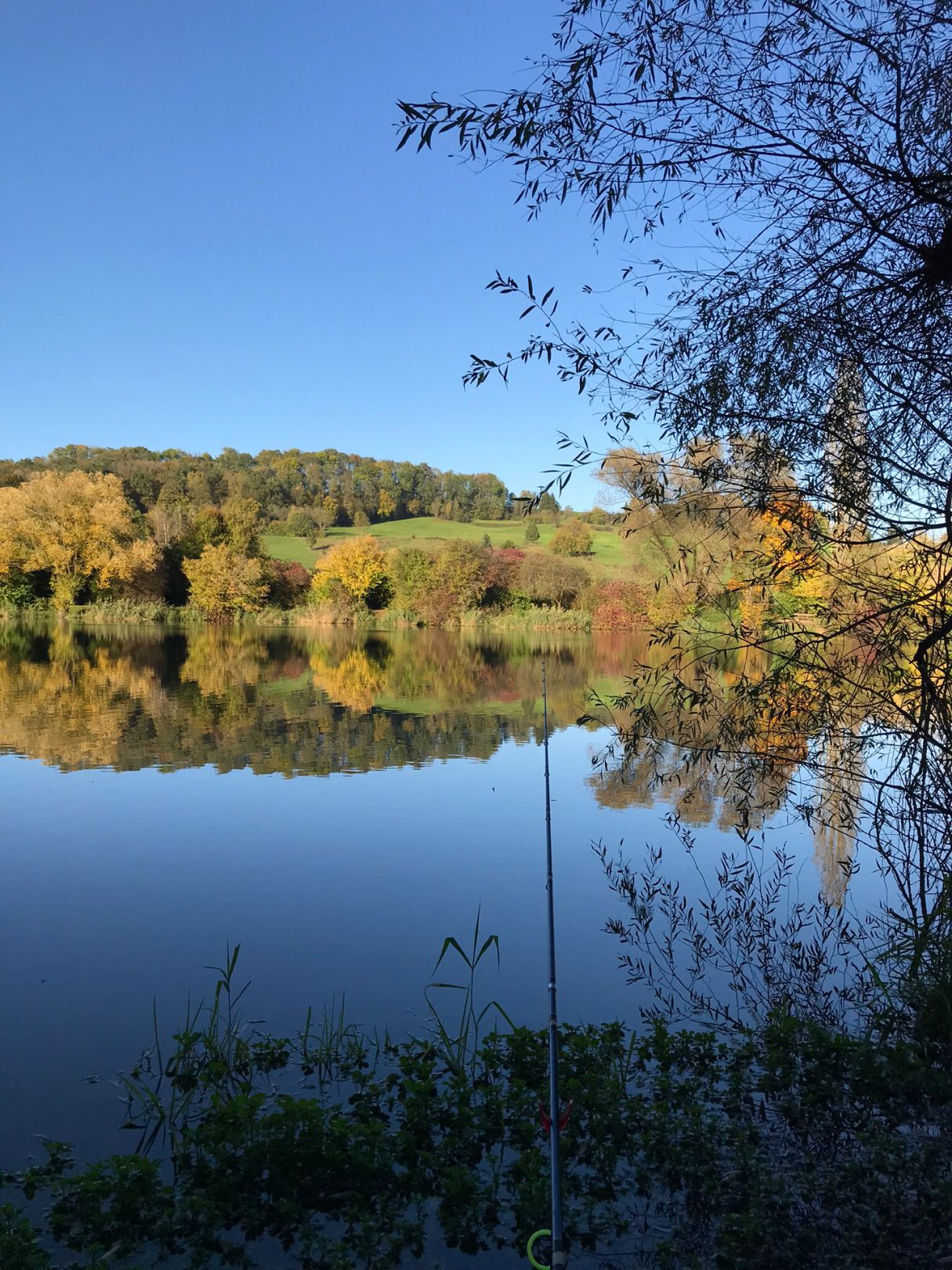 Epplesee (Uhingen) angeln