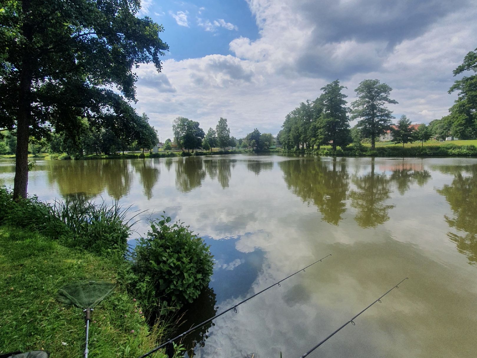 Großer Stadtweiher (Auerbach) angeln