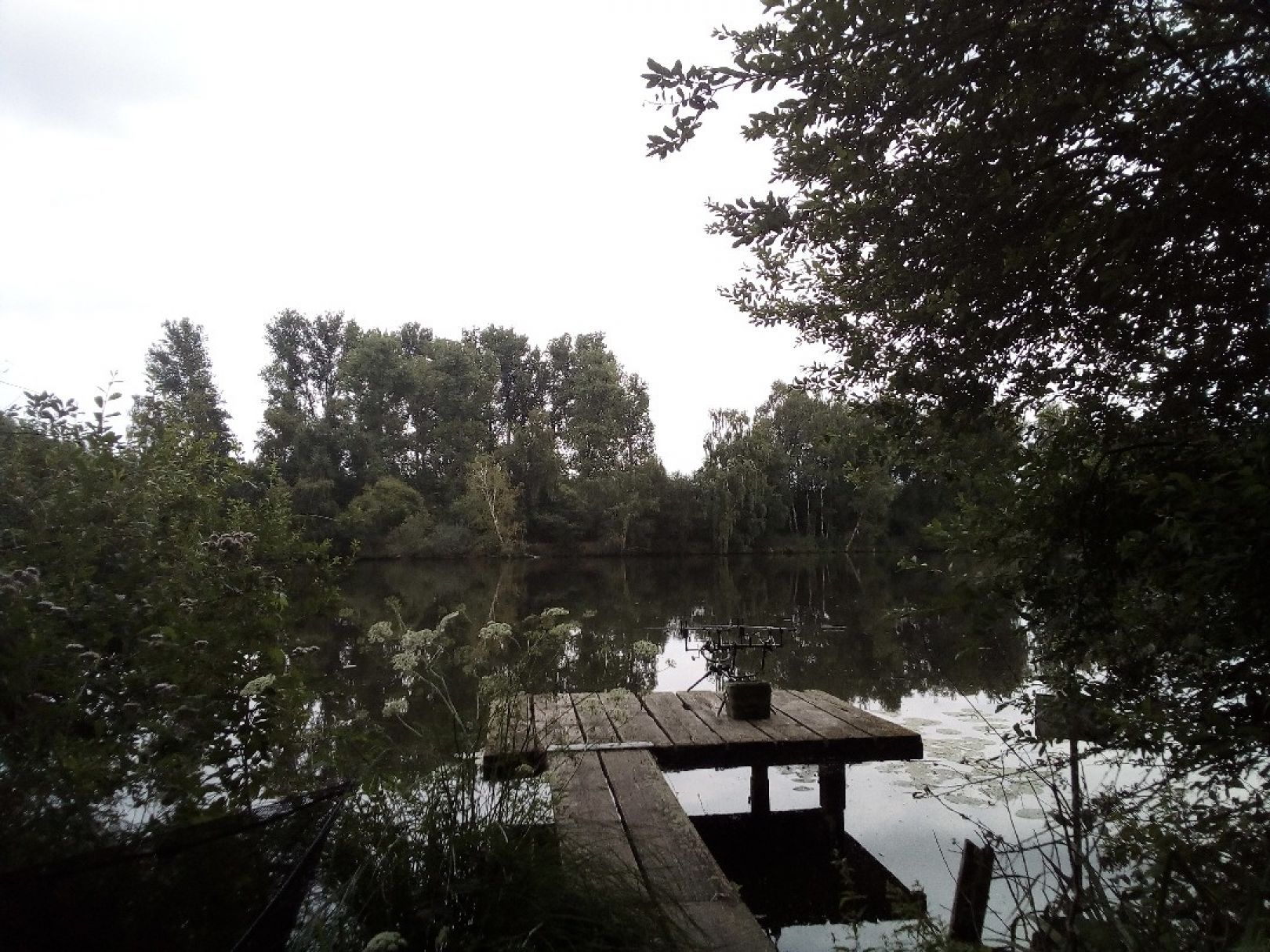 Angeln in Brüggen