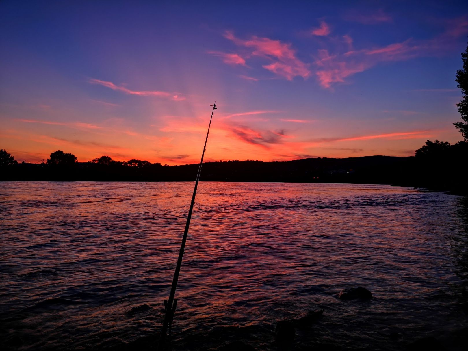 Rhein (Neuwied) angeln