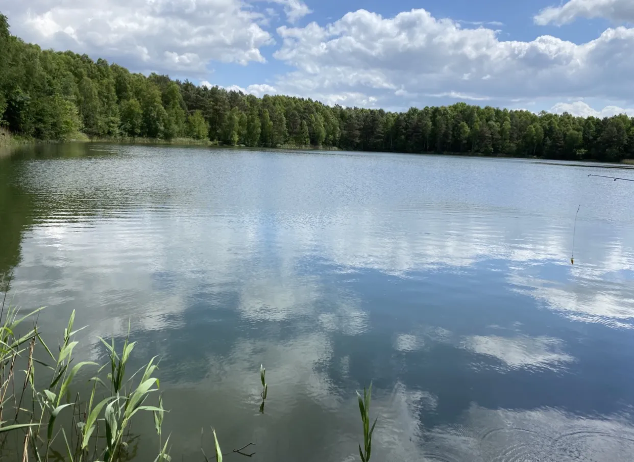Teichanlage 4 des ASV Bergen (Oldendorf) angeln